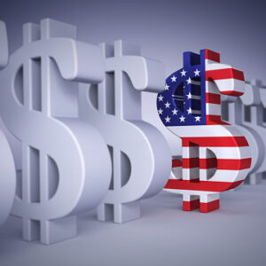 US Dollar Ends the Year on a Strong Note