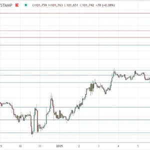 BTC/USD Signal 07/01: Trading Above $100k (Chart)